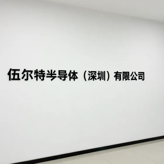 伍尔特半导体（深圳）有限公司行业解析